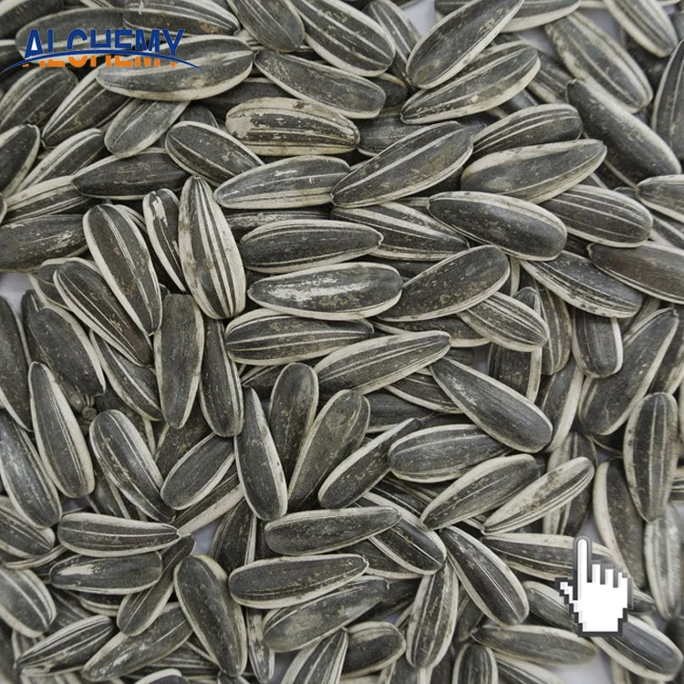 Turkish Hybrid Black Sunflower Seed Price Per Ton Buy Hulled