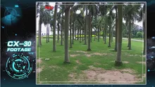 HTB1apVwLpXXXXamapXXq6xXFXXXp