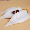 frozen squid
