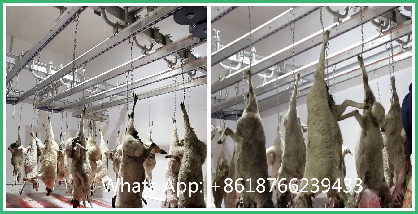 New Abattoir Sheep Slaughterhouse Equipment With Lamb Slaughter Sewage Waste Water Treatment