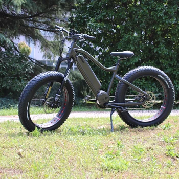 raptor fat bike