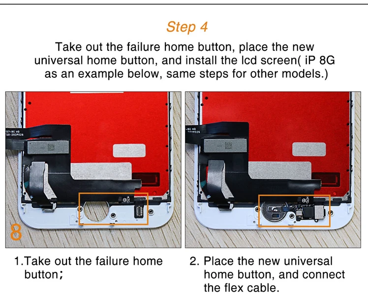 home button for iP 04.jpg