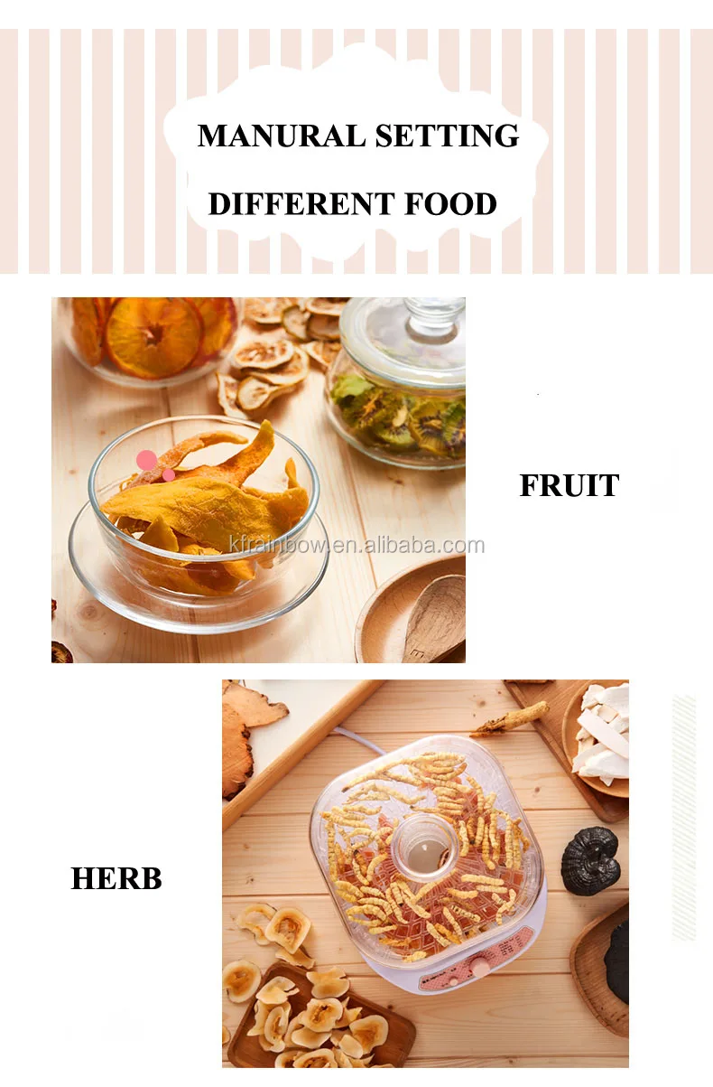 Industrial Food Dehydrator India Hot Air Tray Dryer Machine Price For