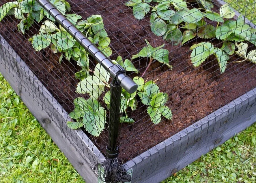 Gardening Greening Net Buy Net For Gardening,Greening Net,Gardening