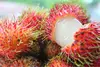 Rambutan Fresh Fruit