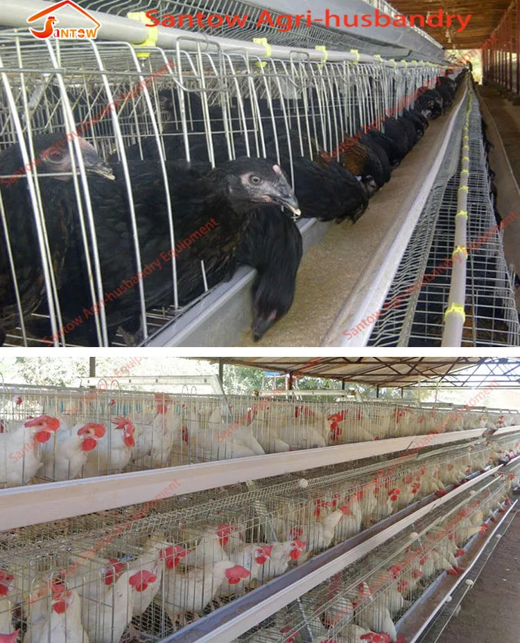 Download 4 Tier 120 Birds Chicken Layer Cages Price Battery Cage ...