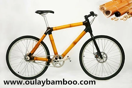 bamboo bicycle