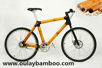 bamboo mountain bike