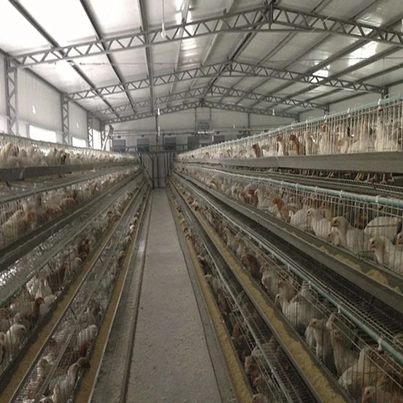 China Breeder China Breeder Manufacturers And Suppliers On