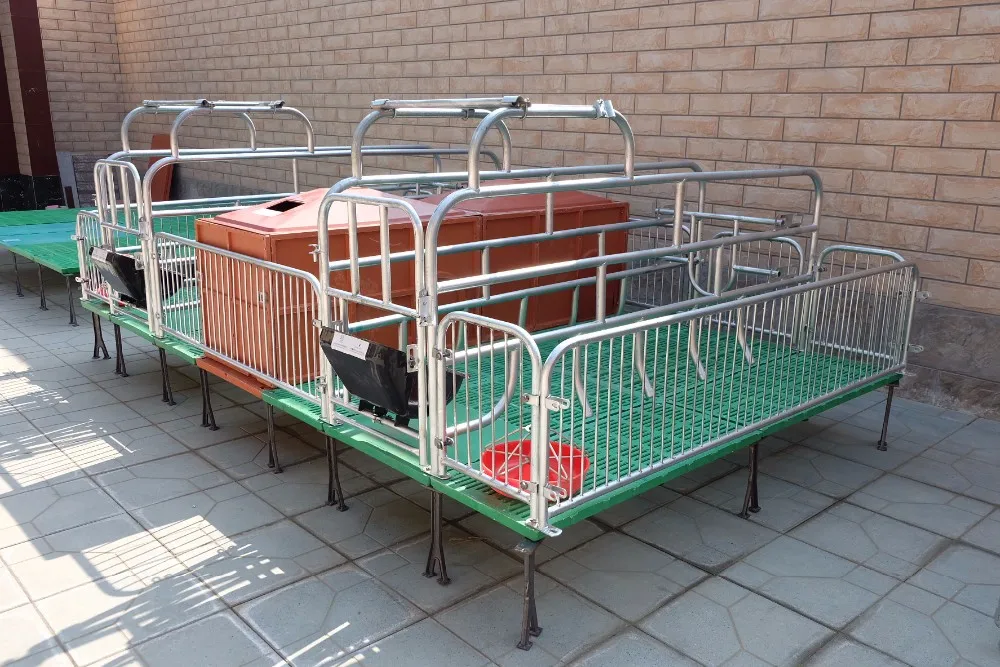 gestation stalls gestation crates for pigs gestation crates for sale.JPG