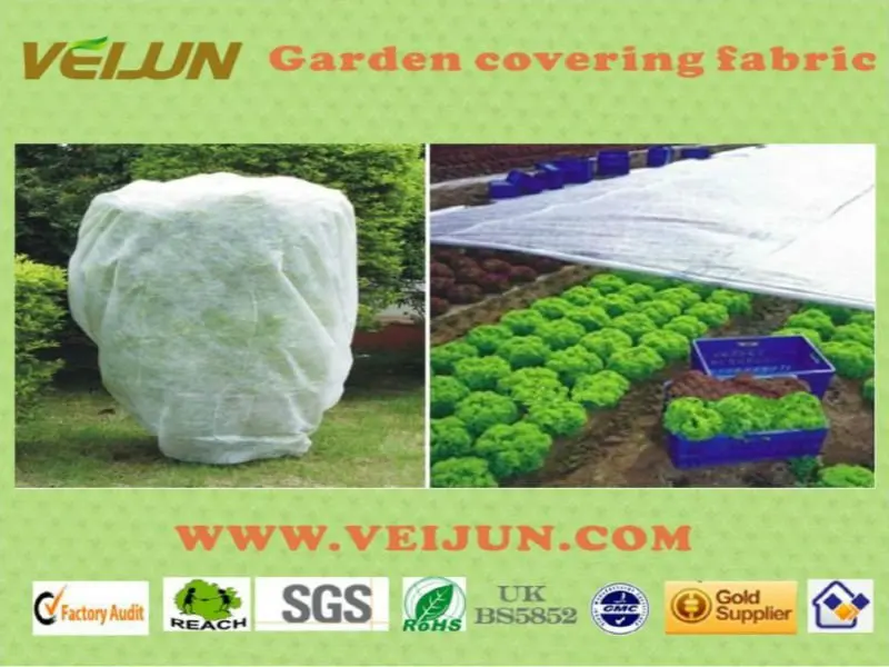 Non Woven Fabric 004