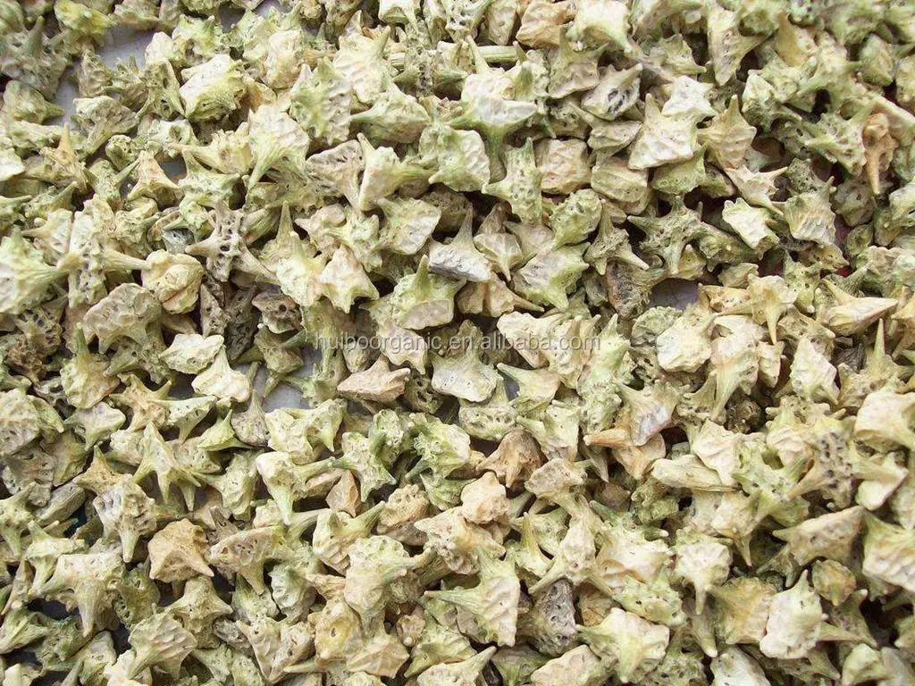 Tribulus terrestris.jpg