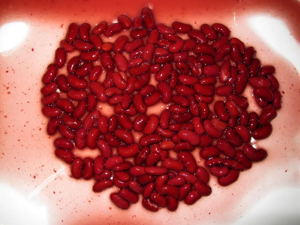 Red can be. Красный Боб. Tomato» / «Red Kidney Beans. Как консервировать Бобы красные.