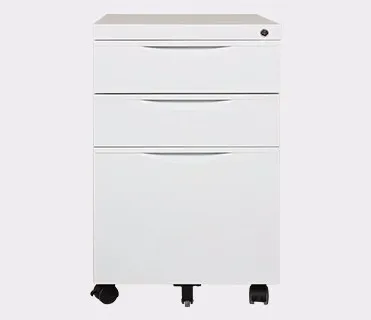 Professional Customized Steel Storage Filing Cabinet On Wheels Wholesale Commercial Furniture Products On Tradees Com