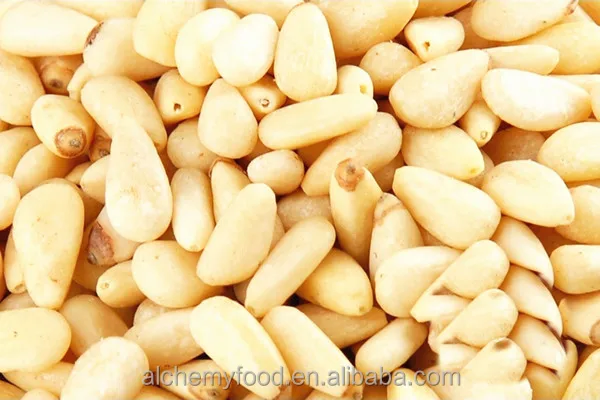 pine nut kernel 2