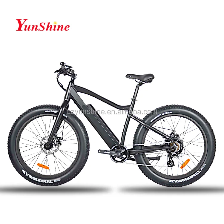 200w electric bike