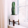 10 inch indoor white large planter garden shallow pot dining table centerpiece ceramic pot with wood stand