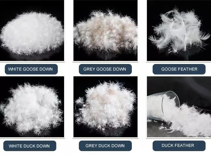 down feather.jpg_.webp.jpg