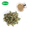 horny goat weed extract powder icariin10%- 98%/horny goat weed extract