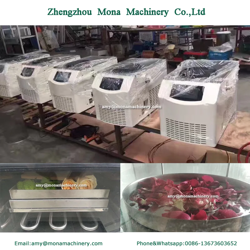 Blueberry Powder Vaccum Freeze Dryer Freeze Dry Machine Price For Sale