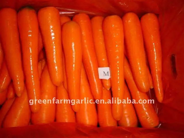 fresh carrot 1