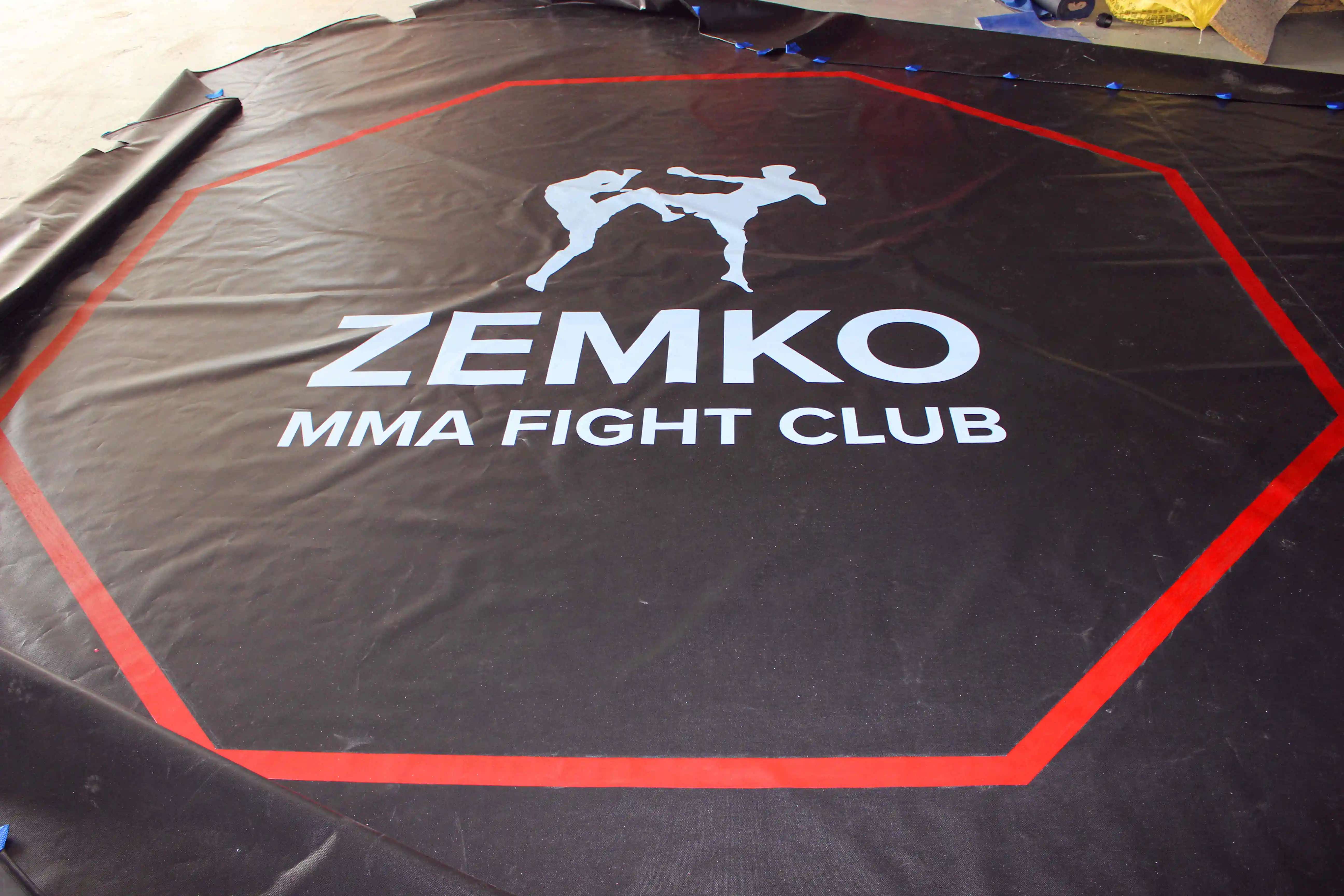 mma cage (1).JPG