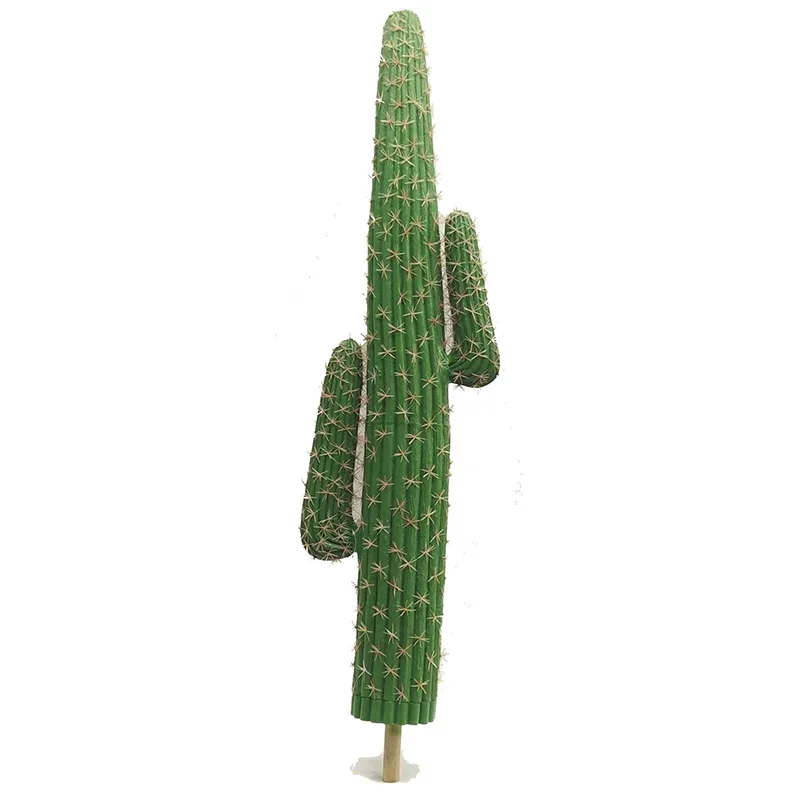 Atacado Ornamental Cactus/ Cactus E Suculentas/cactos Artificiais - Buy  Baratos Plantas Artificiais,Planta Do Cacto De Natal,Cactus Plantas Com  Flores Product on Alibaba.com