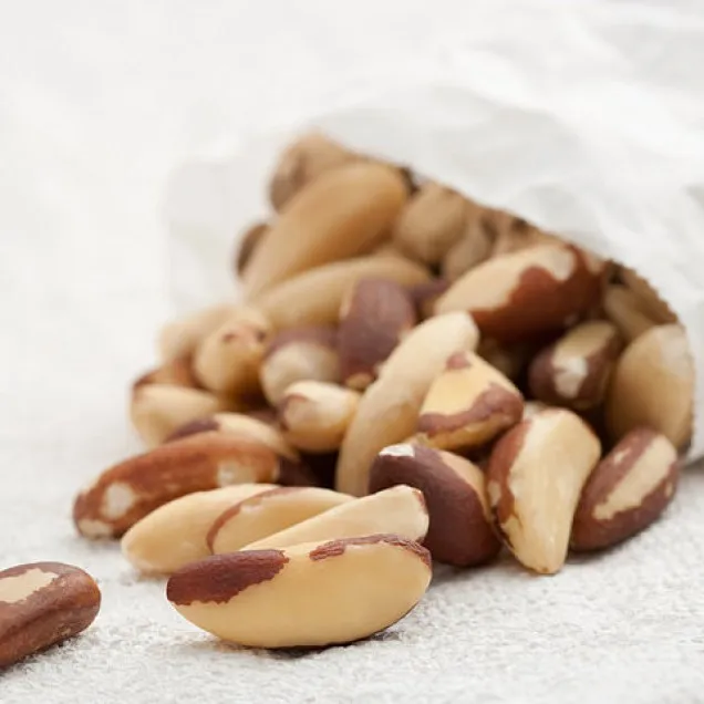Top quality Good typical Shellless Dried Raw Brazil Nuts