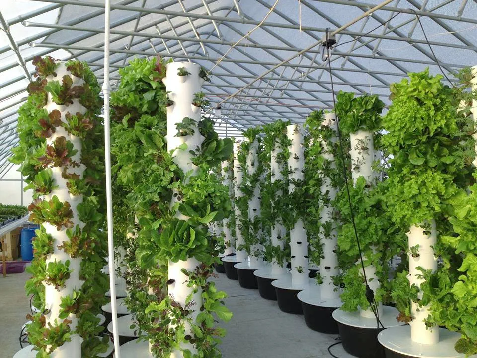 Vertical Farming Aeroponics Garden Tower System - Buy ...