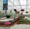Hydroponic System for Agriculture Greenhouse