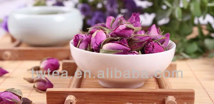 rose flower.jpg