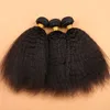Afro kinky straight Brazilian virgin human hair extensions softer honey hair