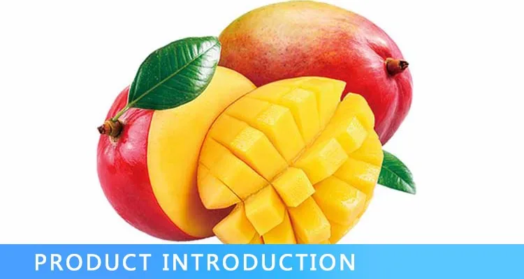 fresh mango from peru sweet and high quality - buy mango kent