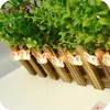 Snail Shaped Plastic Pink Light Led Copper String Lights