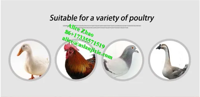 Poultry plucking machine38.jpg