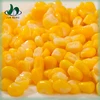 Gold supplier china fresh y healthy food canned maize price