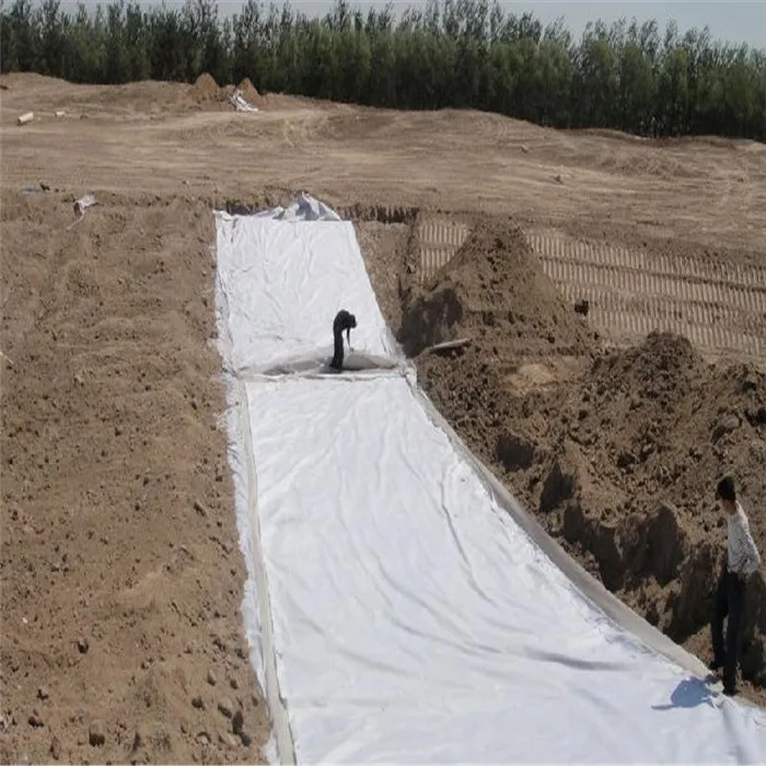 100gsm1000gsm Nonwoven Geotextile Fabric For Road Railway Construction