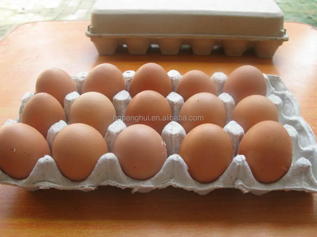 Сколько яиц в лотке. Лоток для яиц своими руками. Лоток для яиц LG. Керамический лоток для яиц. Устройство сортировки яиц.