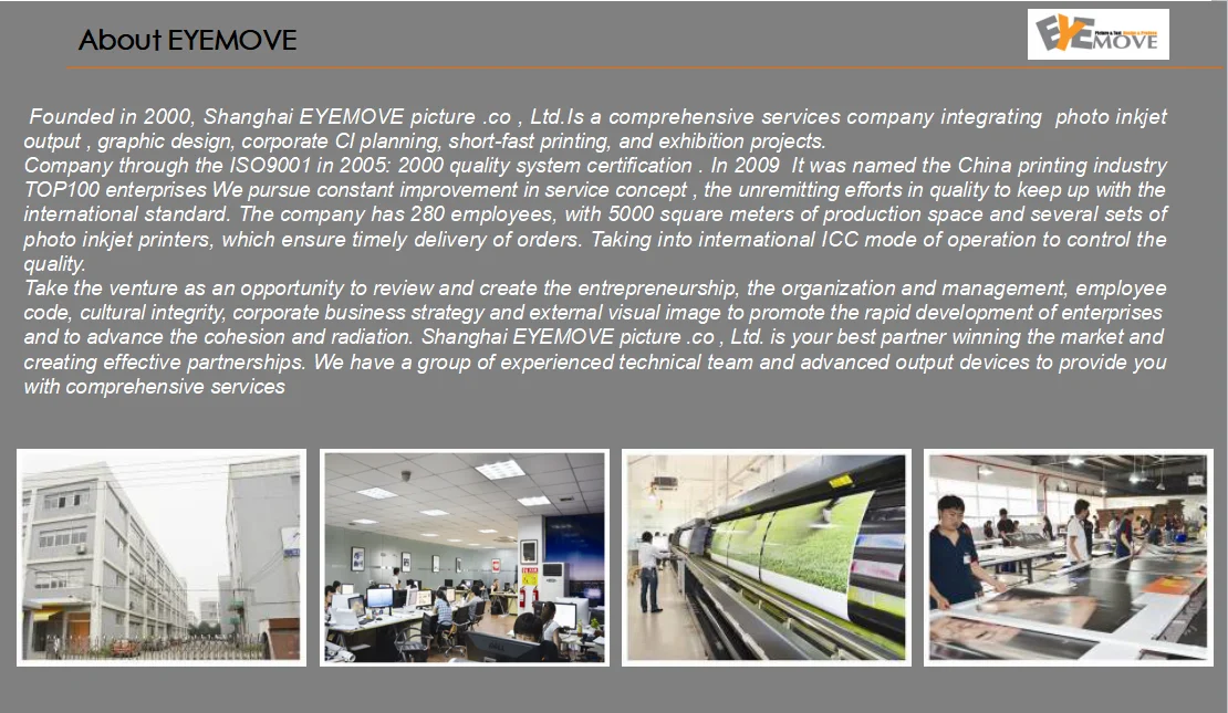 eyemove information.png