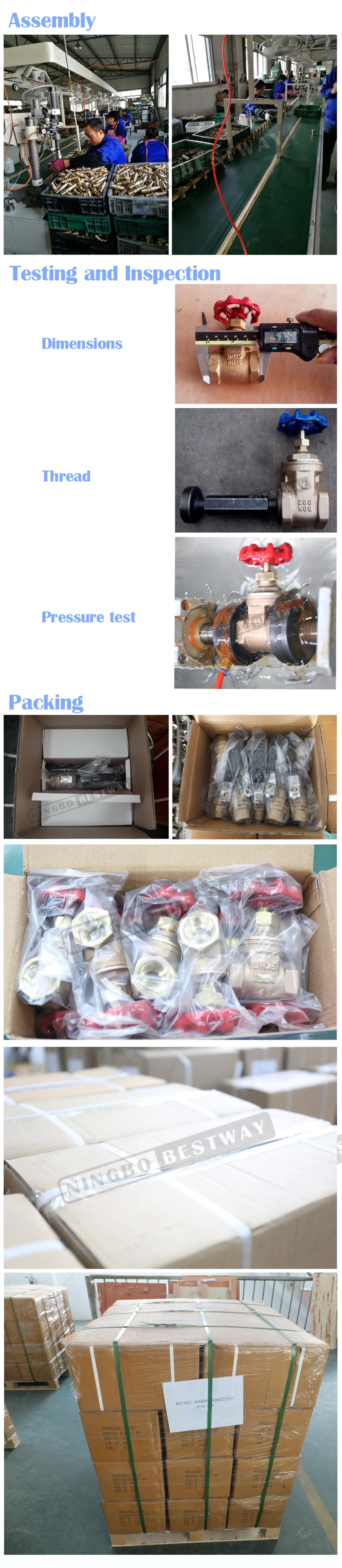 Assemb Test and packing