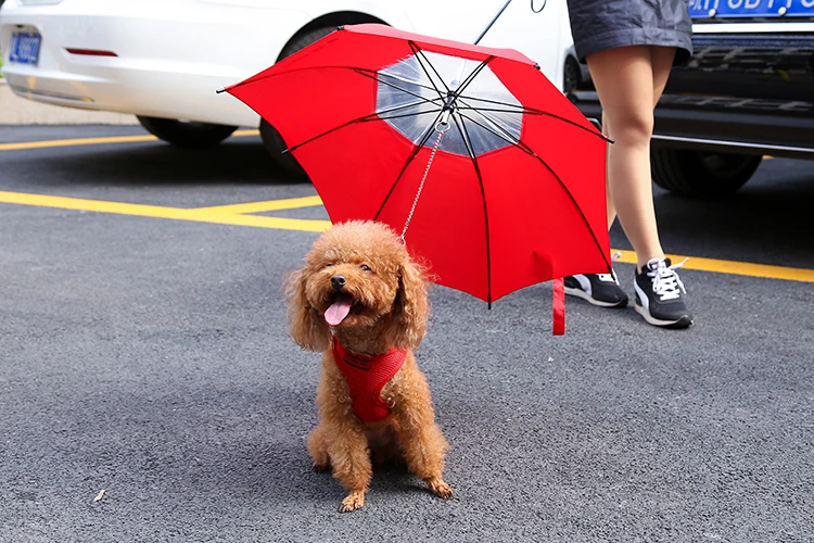Custom Design Strong Fiberglass Ribs Pet Dog Leash Umbrella,Umbrella