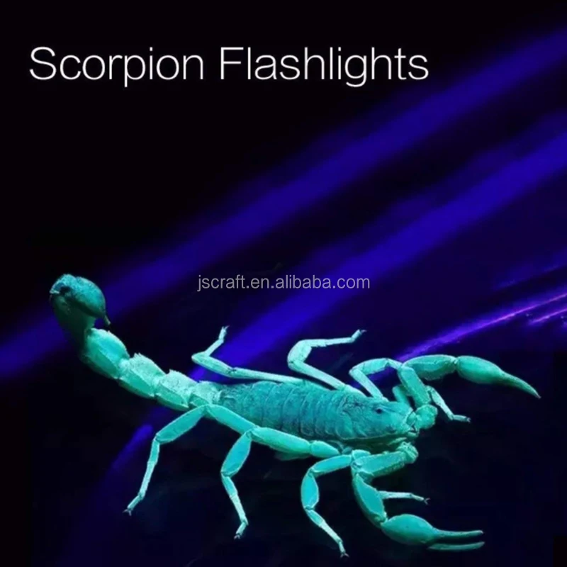 68 LED UV Flashlight-6