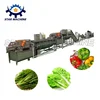 fruits and vegetables cleaning equipment and processing machine line