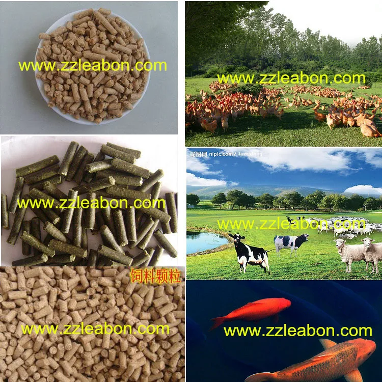 500kg/h Turkey Animal Feed Pellet Extruder,Chicken Feed Pellet