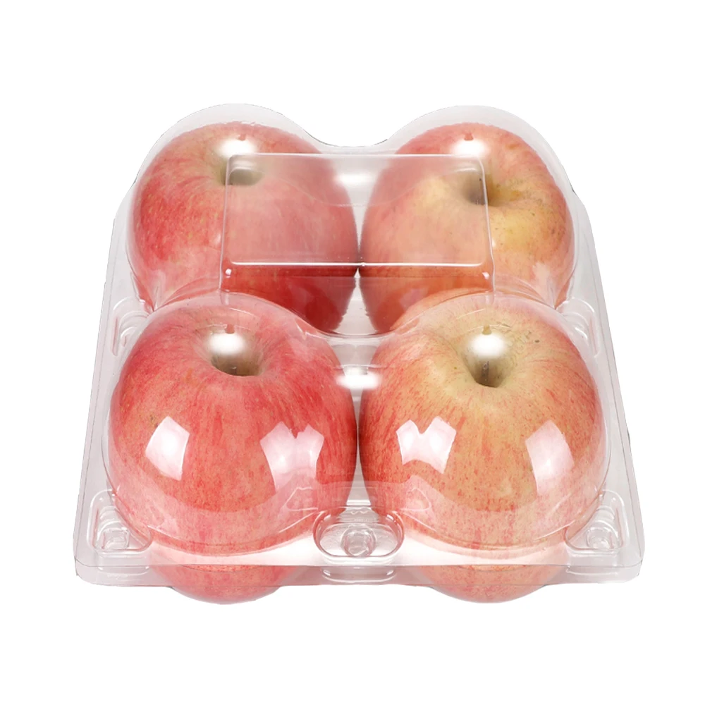 fruit tray container