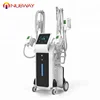 New product cryolipolysis device 4 size freeze handle cryotherapy machine fat freezing