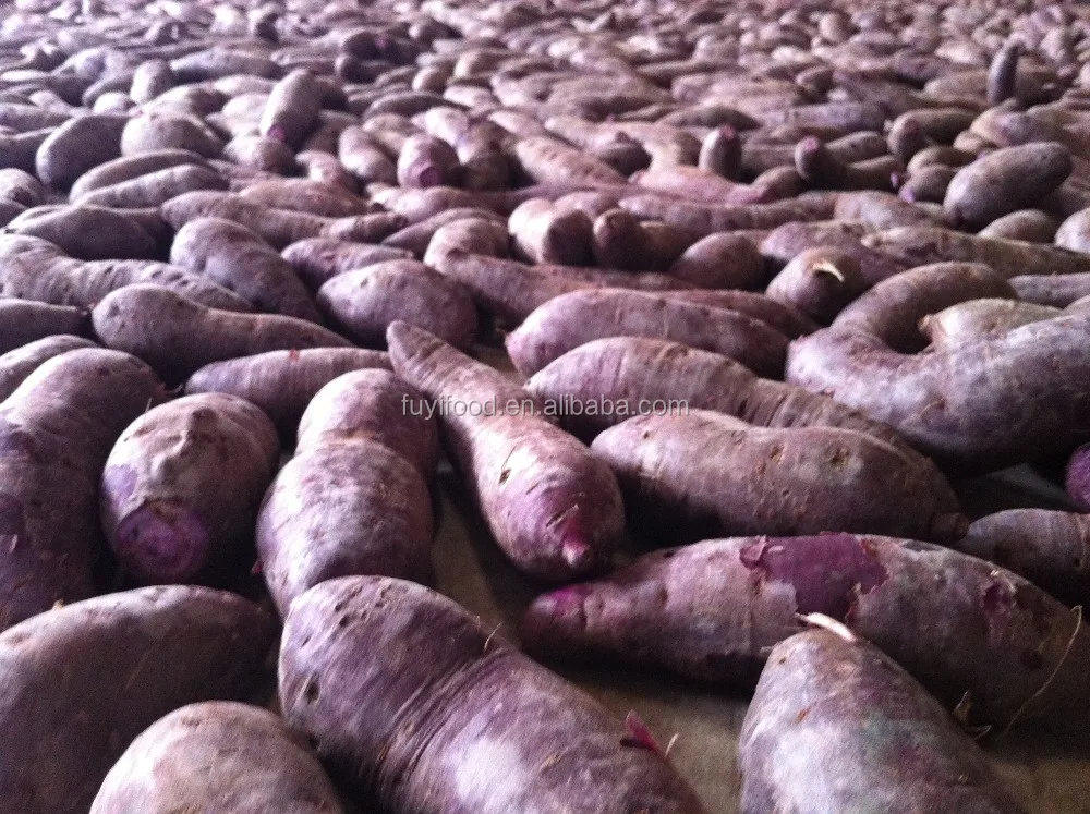 Fresh Organic Sweet Purple Potatoes Buy Organic Sweet Purple Potatoes,Sweet Purple Potatoes