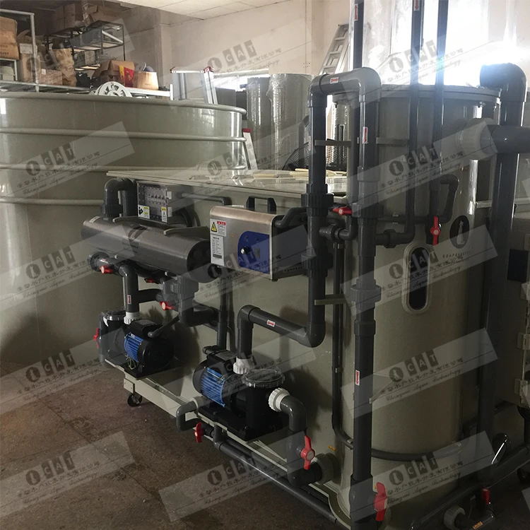 Layout Design For Fish Farm Modern Recirculating Aquaculture System