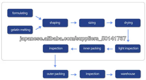soft capsule process