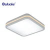 2019 New Products China Manufacturer Contemporary Indoor Led Kitchen Ceiling Light